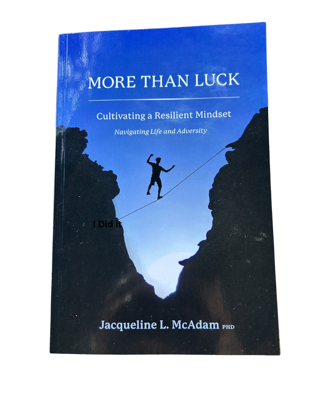 More than Luck Resilience More than Luck Resilience